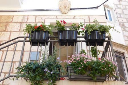 Apartment Punat Korčula Eksteriør billede